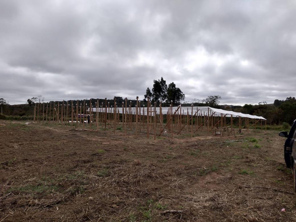 Sítio à venda, 11000m² - Foto 1