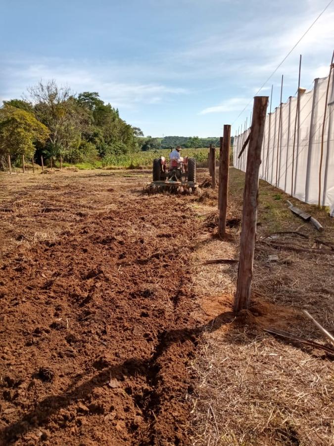 Sítio à venda, 11000m² - Foto 10