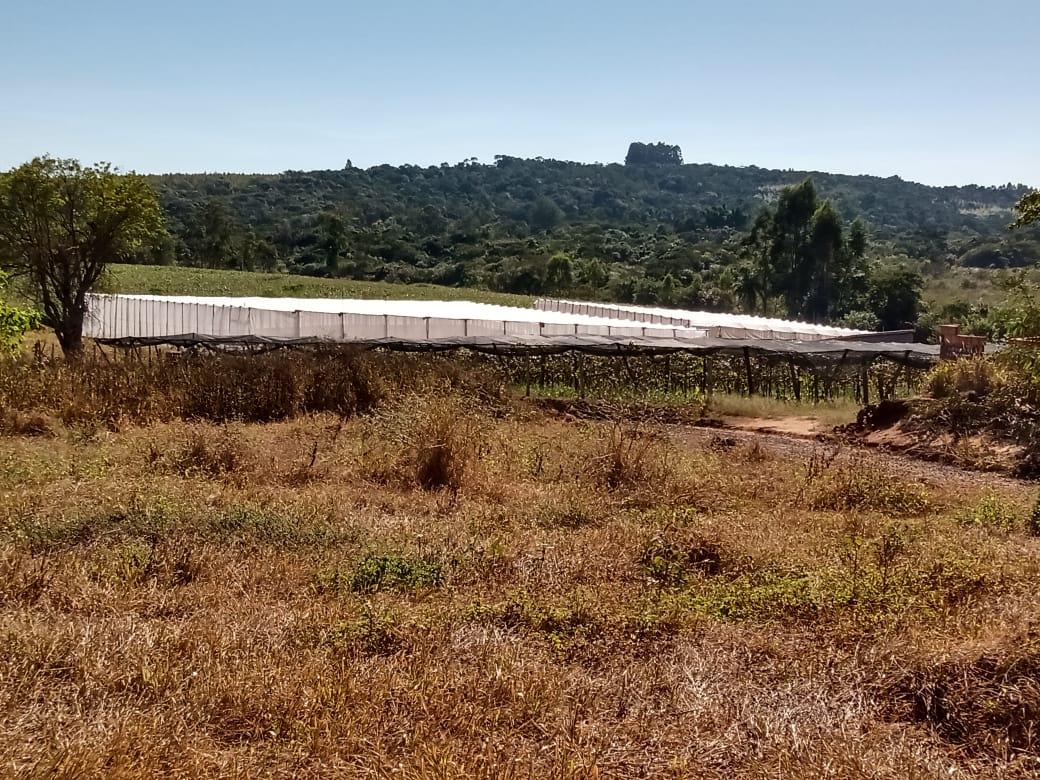 Sítio à venda, 11000m² - Foto 9