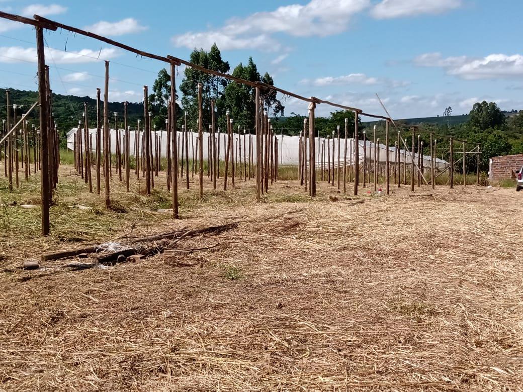 Sítio à venda, 11000m² - Foto 8