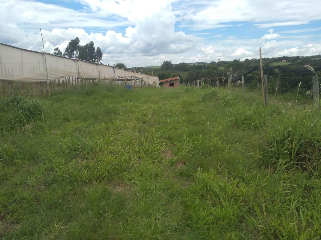 Sítio à venda, 11000m² - Foto 13