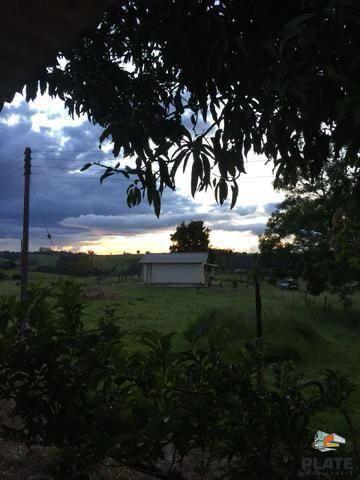 Fazenda, 2 hectares - Foto 7