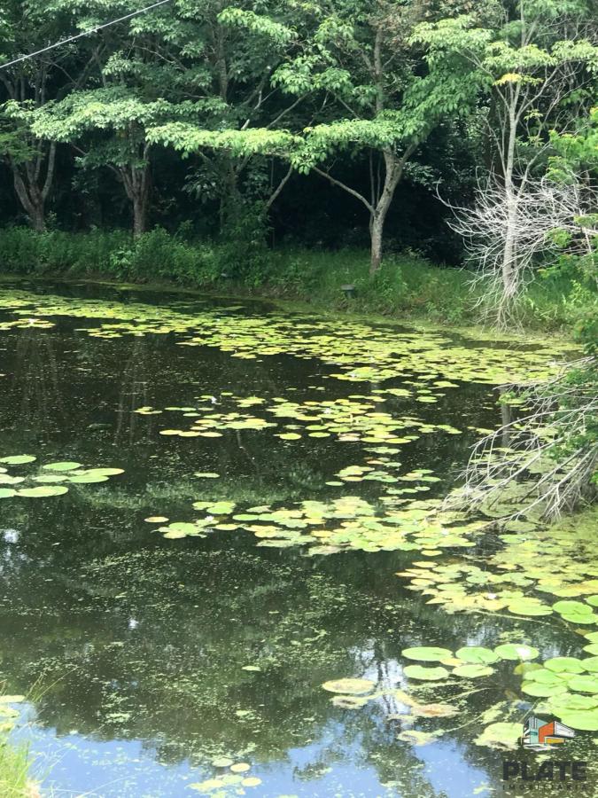 Fazenda, 2 hectares - Foto 10