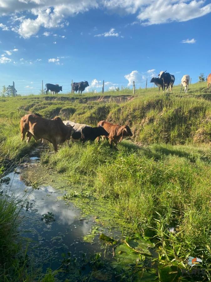 Fazenda, 2 hectares - Foto 46