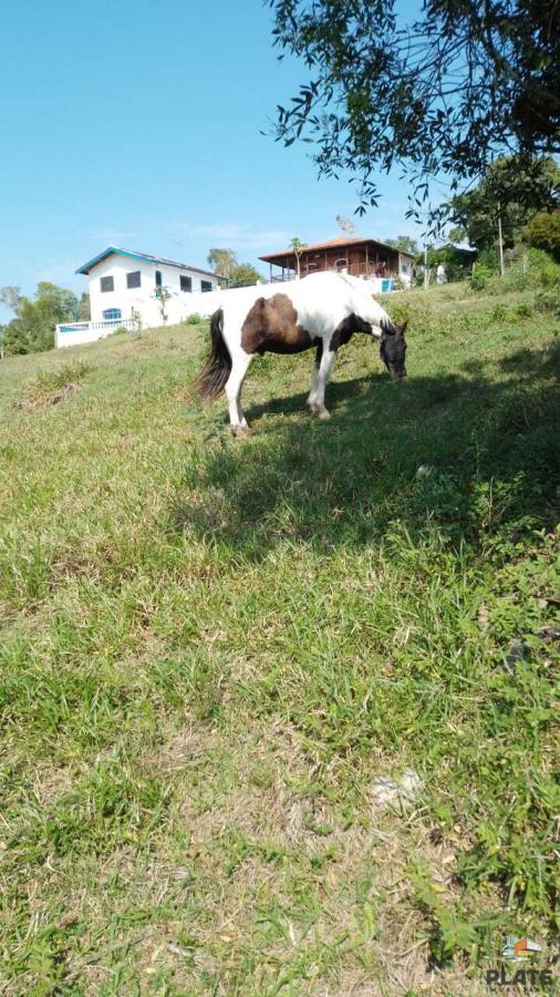 Sítio à venda, 7m² - Foto 4