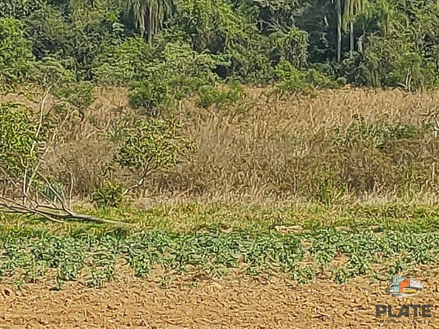 Terreno, 5000 m² - Foto 4