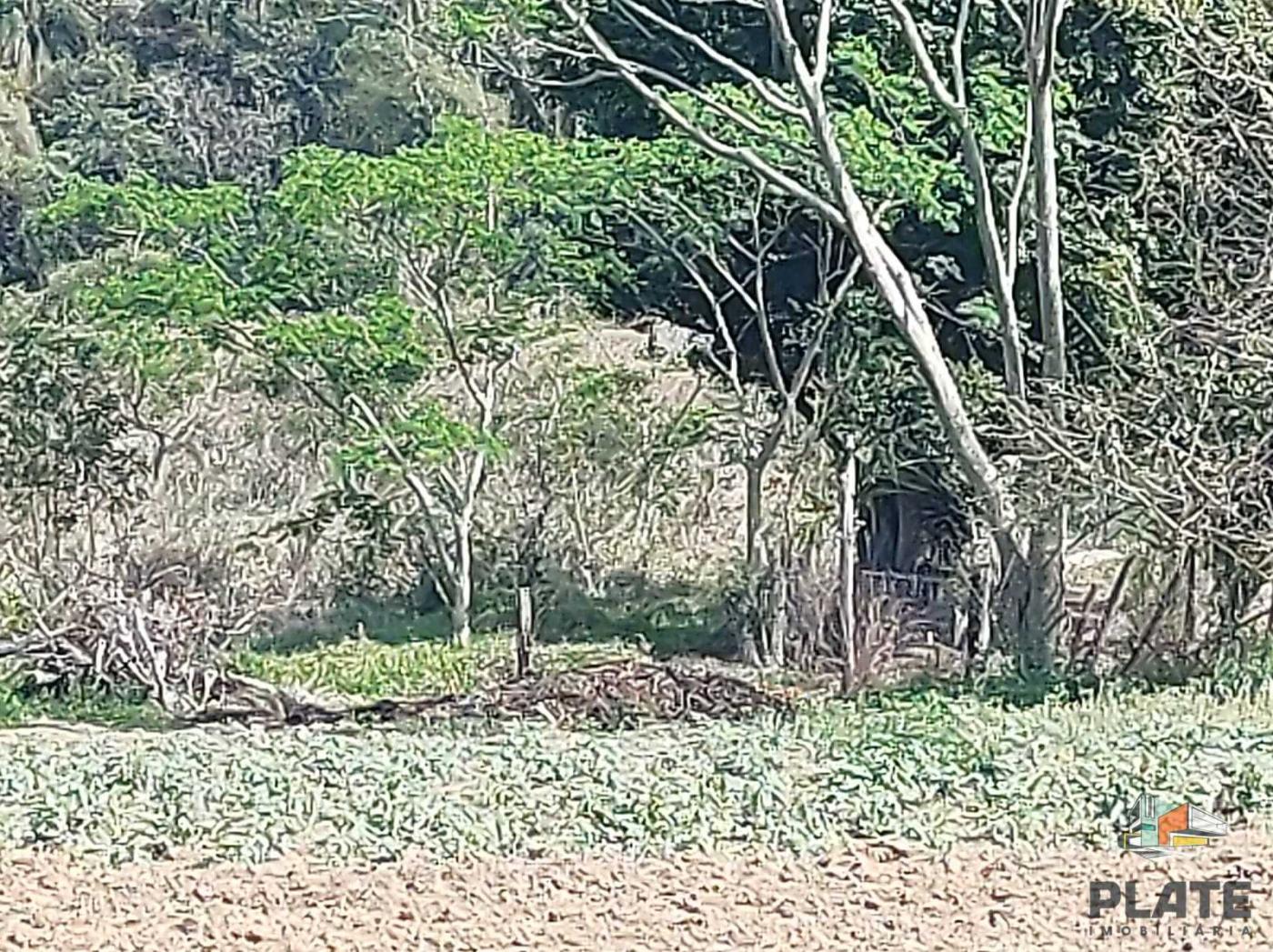 Terreno, 5000 m² - Foto 3