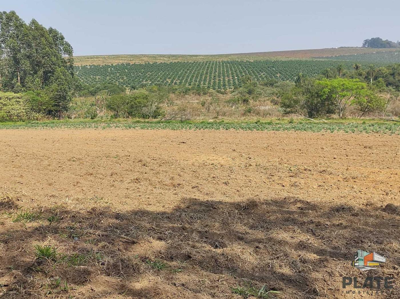 Terreno, 5000 m² - Foto 1