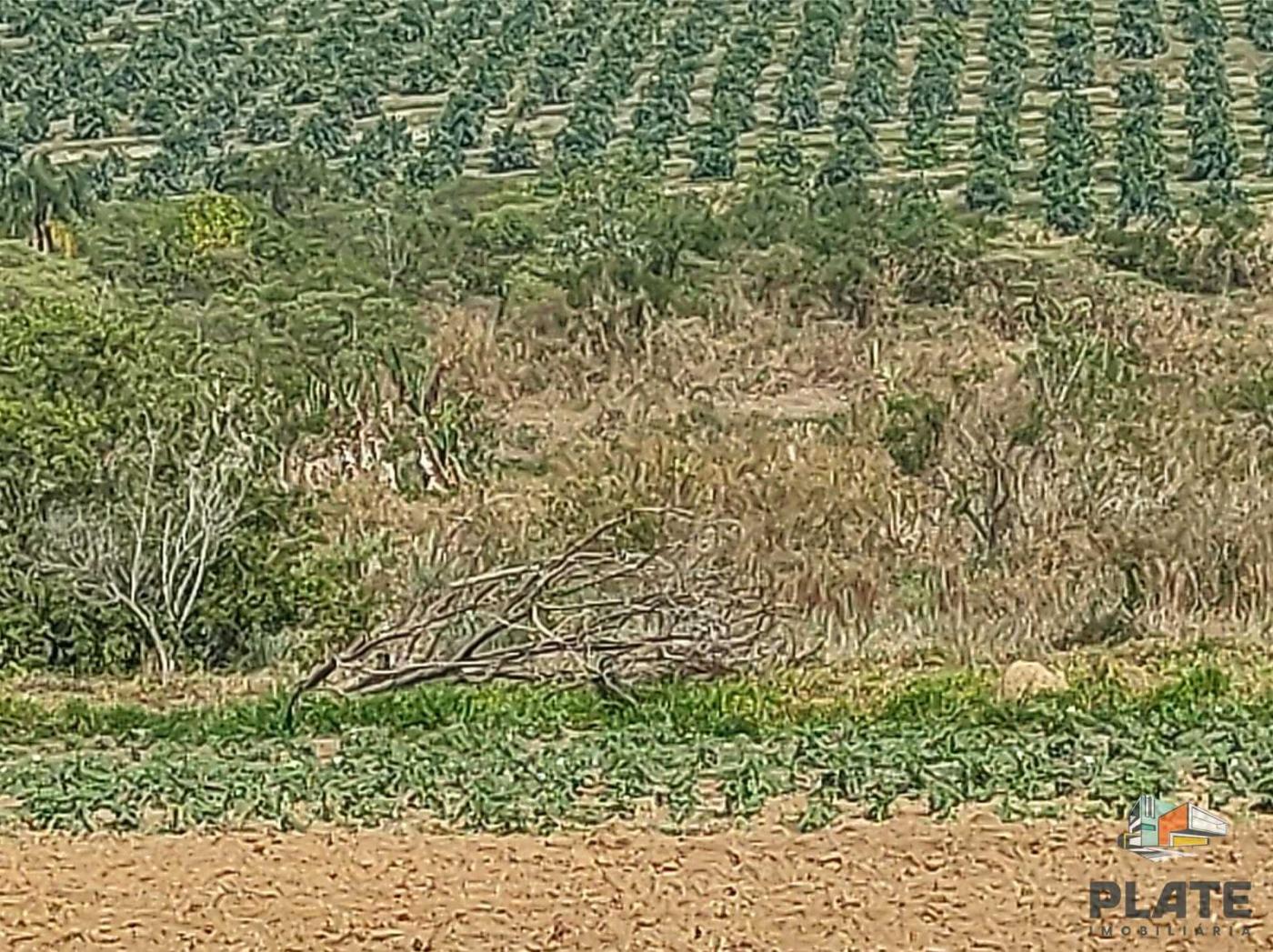 Terreno, 5000 m² - Foto 8