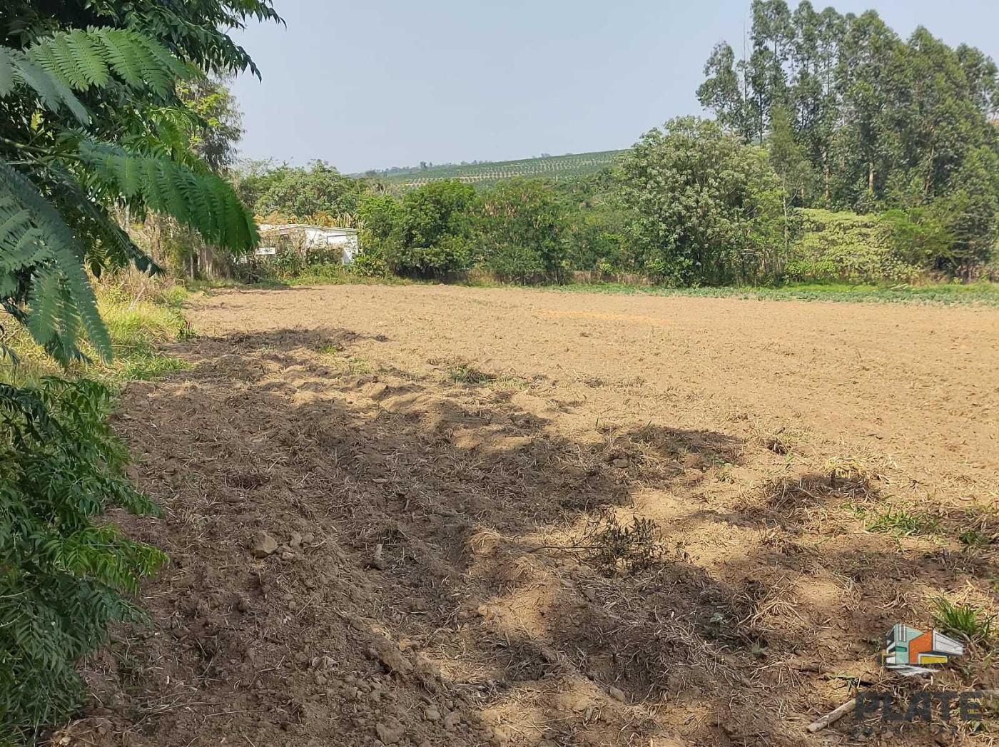 Terreno, 5000 m² - Foto 9