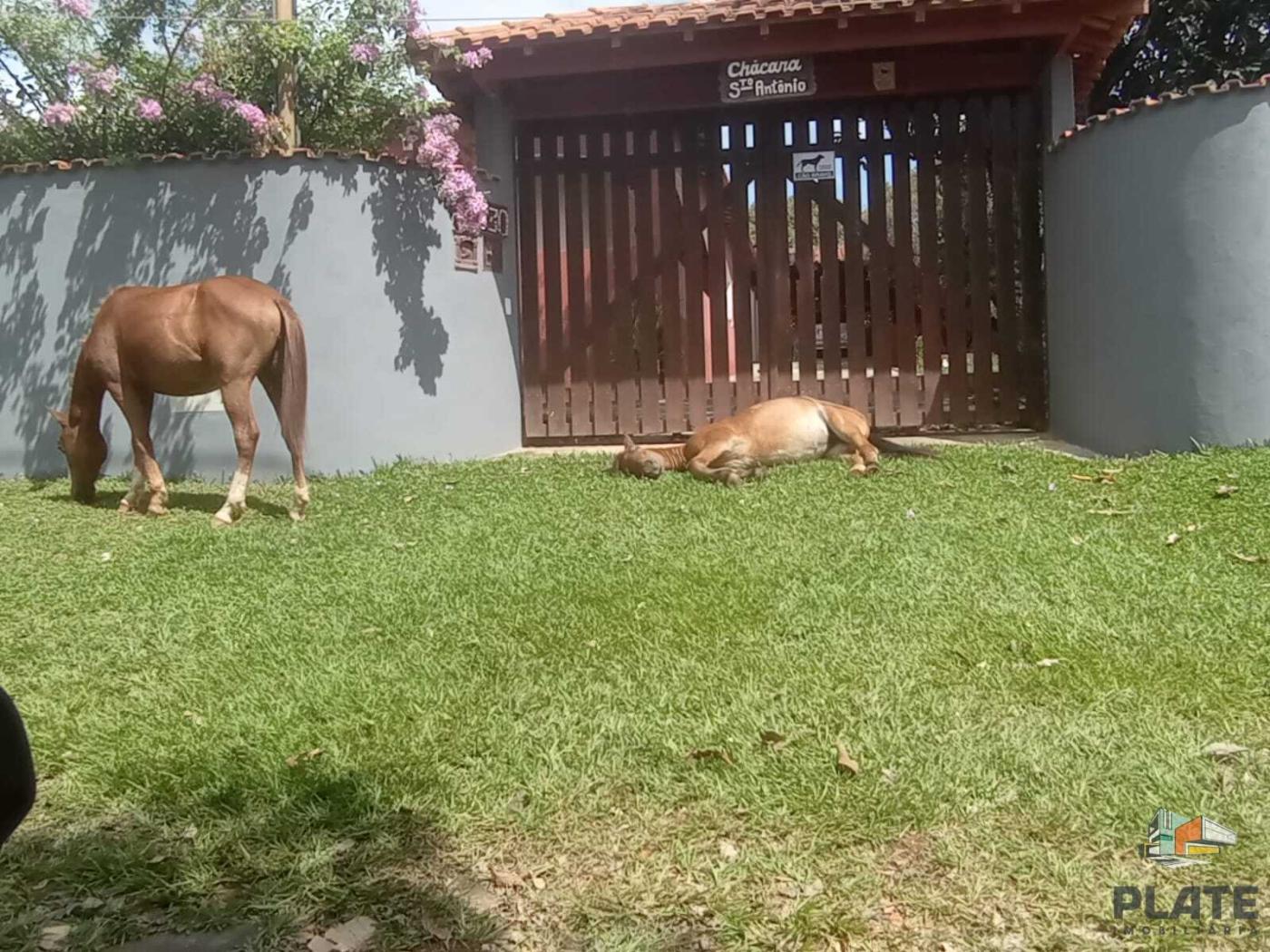 Sítio à venda, 200m² - Foto 1