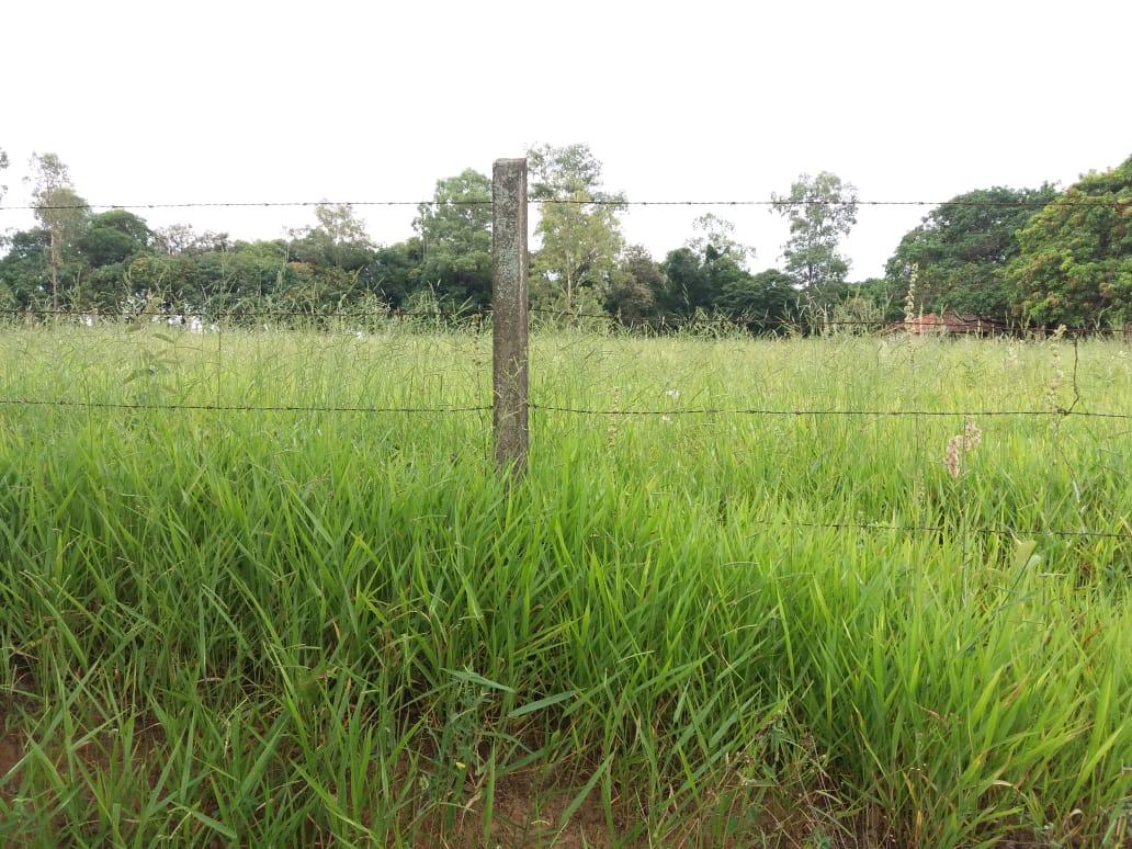 Terreno, 1500 m² - Foto 2