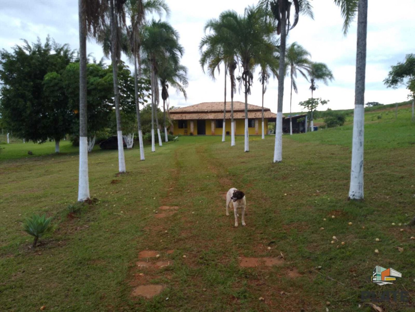 Chácara, 7000 m² - Foto 2