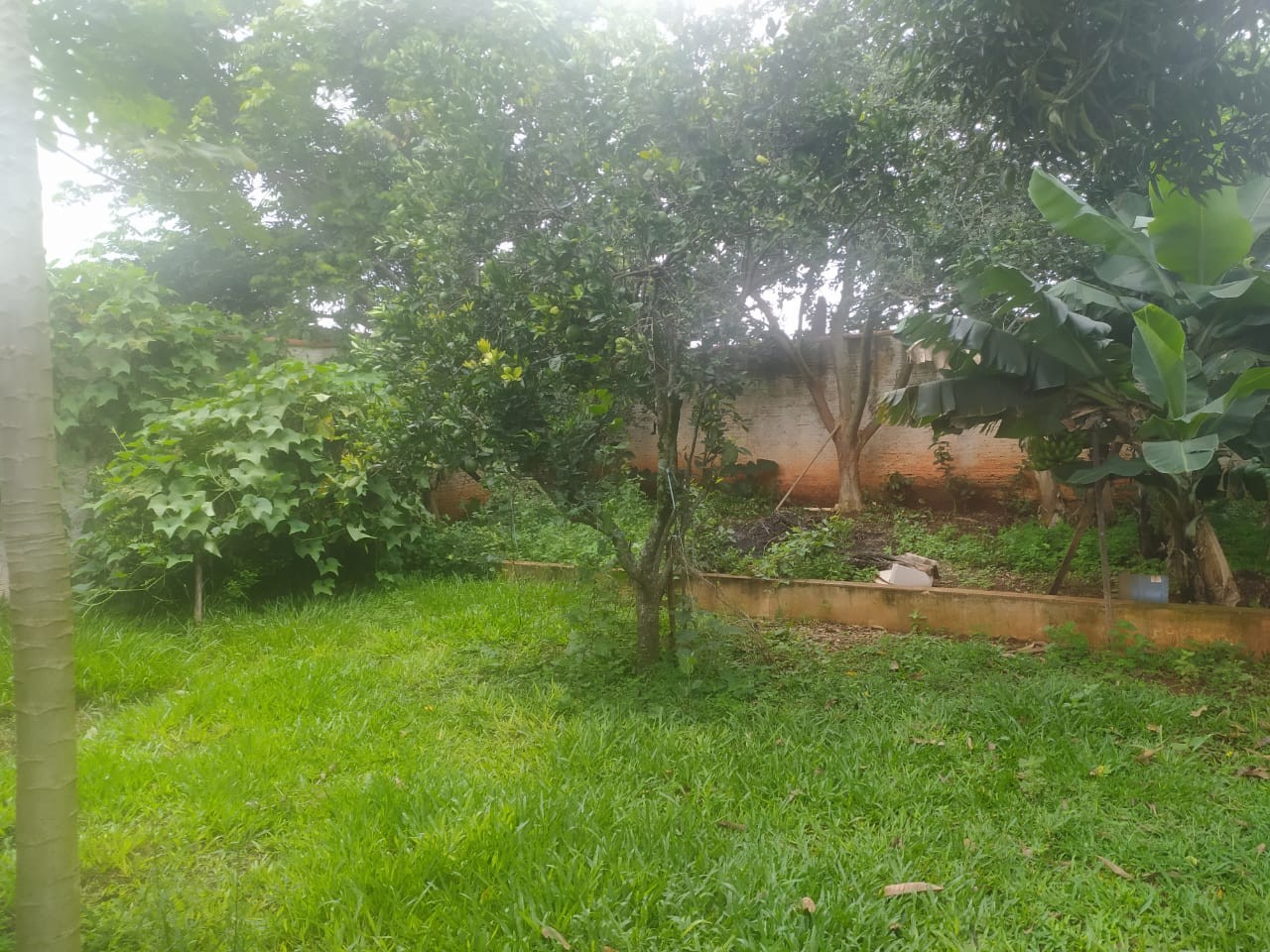 Chácara, 748 m² - Foto 6