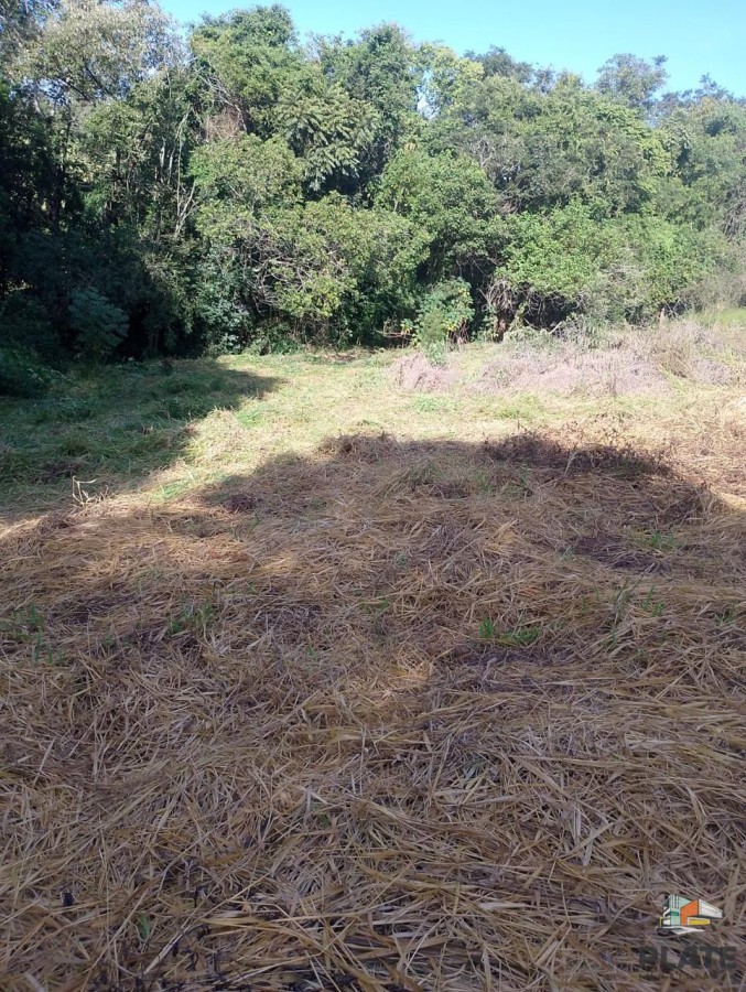 Terreno, 2329 m² - Foto 9