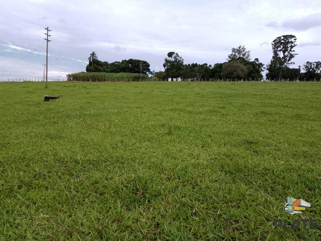 Chácara, 10 hectares - Foto 24