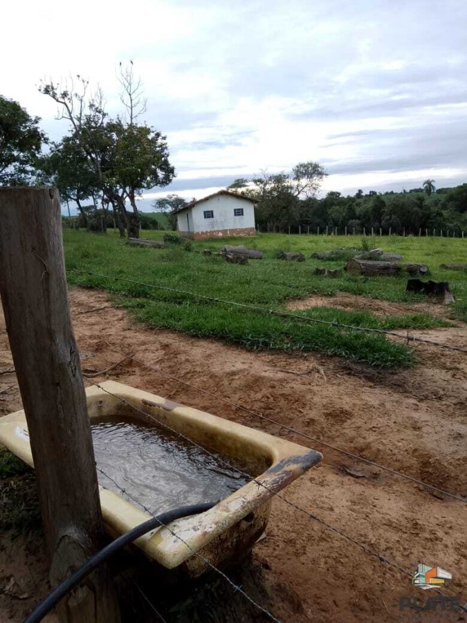 Chácara, 10 hectares - Foto 26