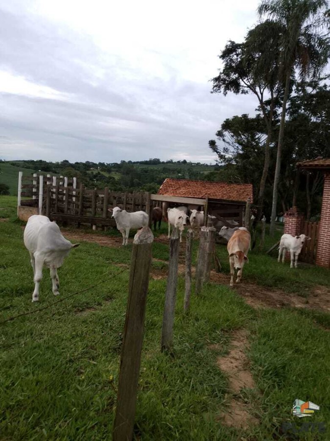 Chácara, 10 hectares - Foto 28