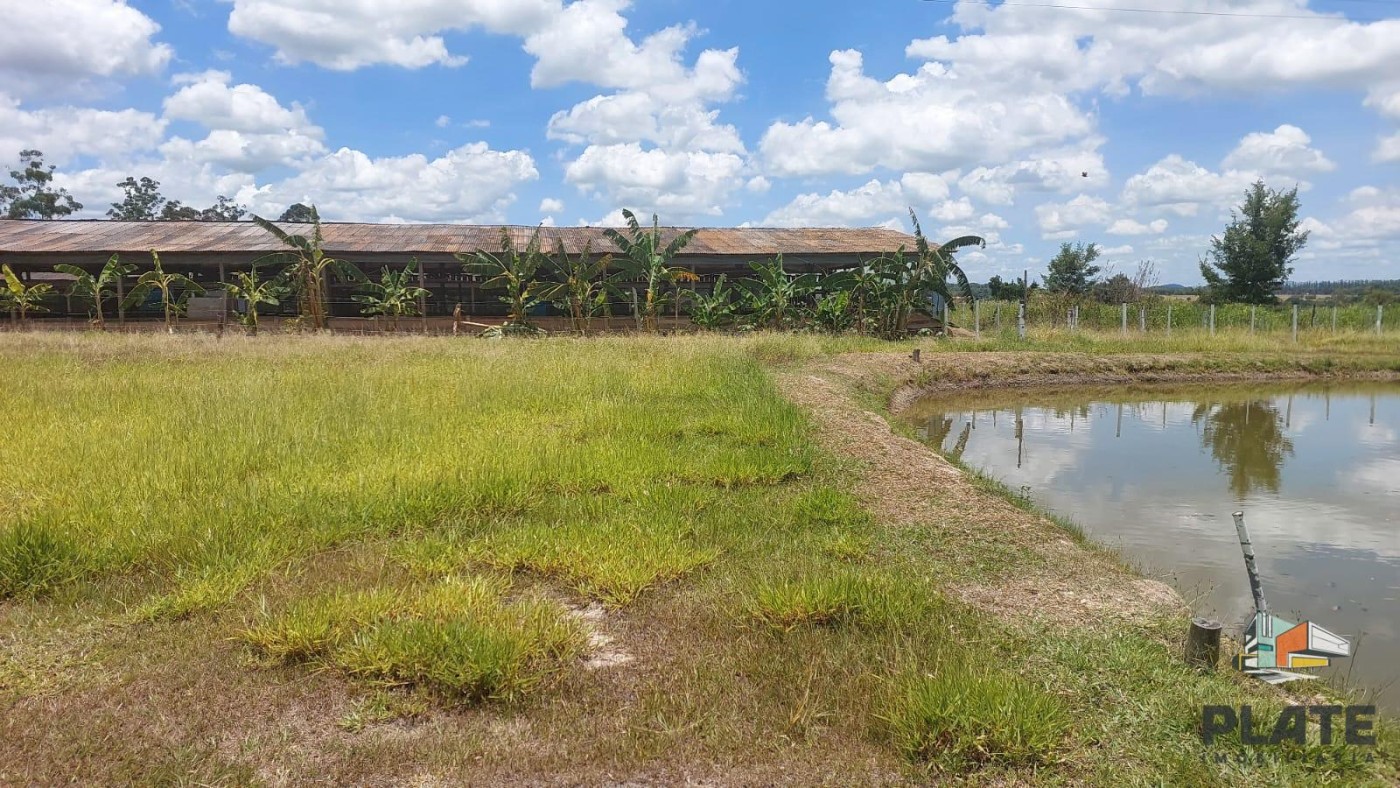 Chácara, 2 hectares - Foto 15