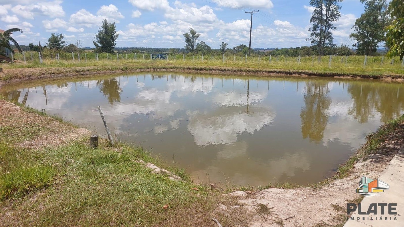 Chácara, 2 hectares - Foto 14