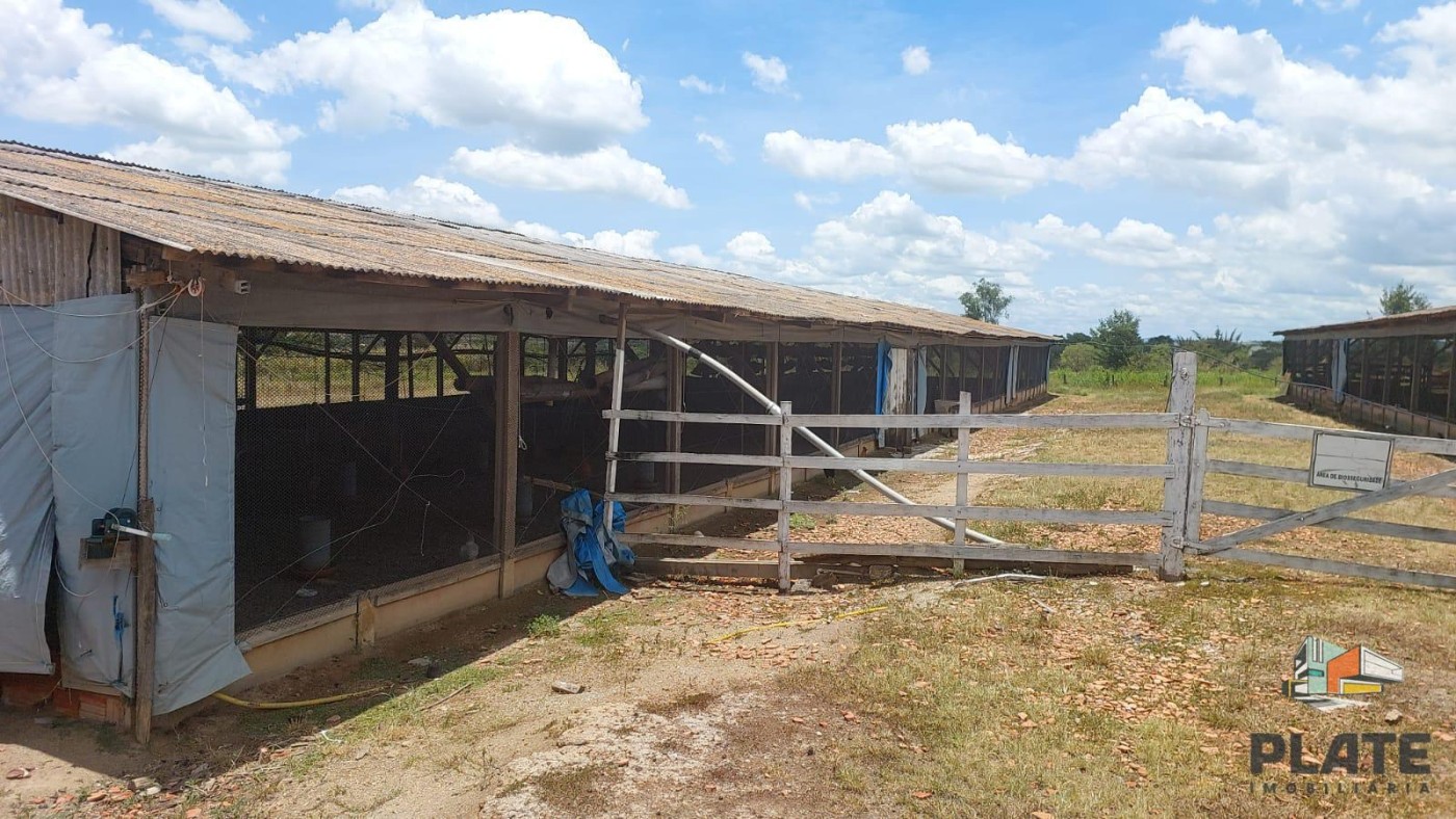 Chácara, 2 hectares - Foto 19