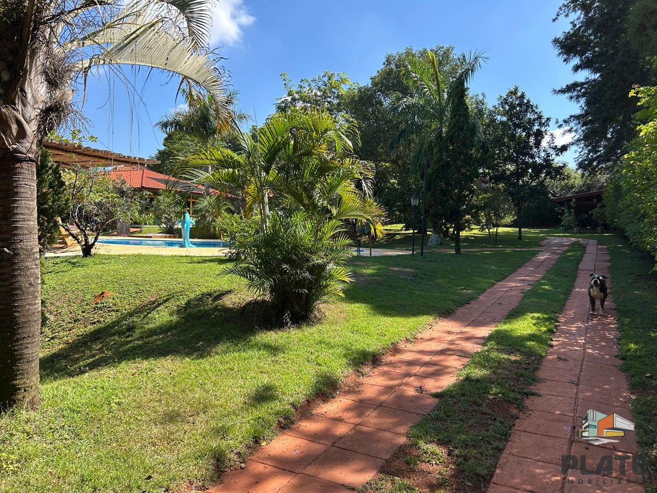 Chácara à venda, 5000m² - Foto 4