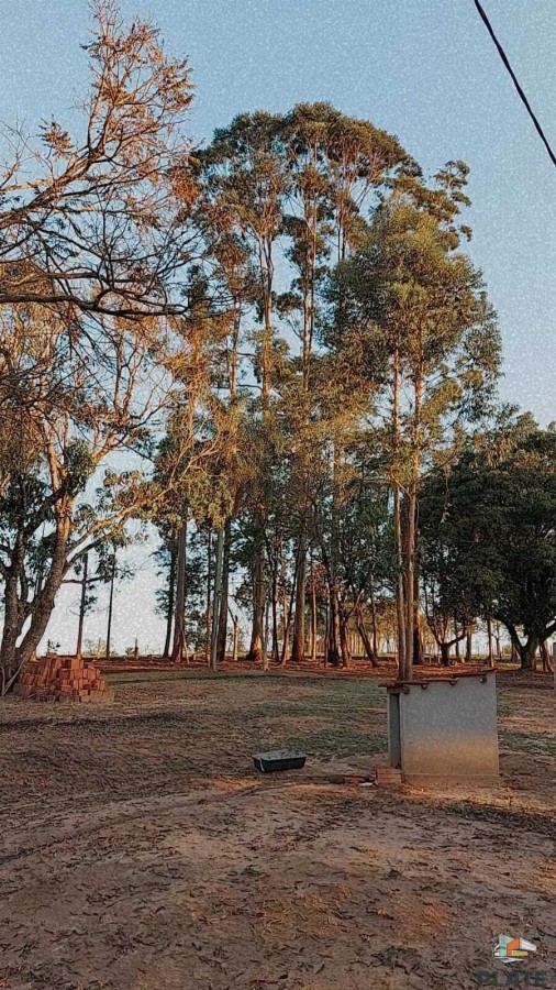 Chácara, 10 hectares - Foto 29