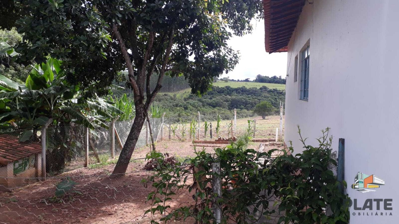 Chácara, 10 hectares - Foto 32