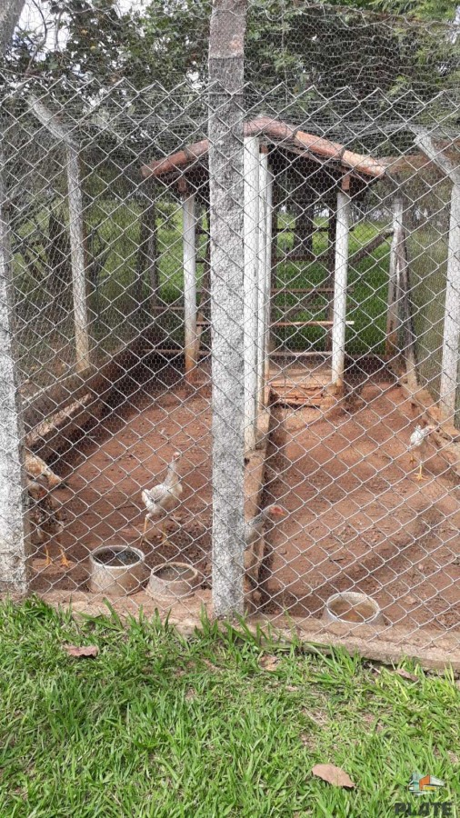 Chácara, 10 hectares - Foto 41