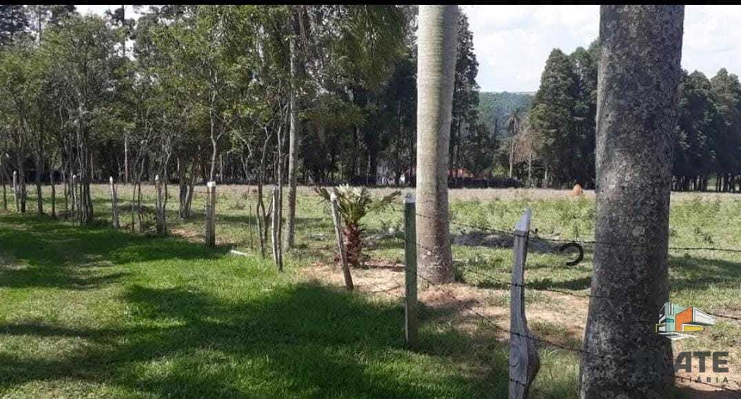 Chácara, 10 hectares - Foto 43