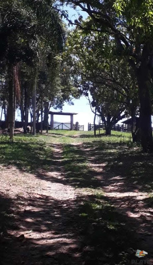 Chácara, 10 hectares - Foto 40