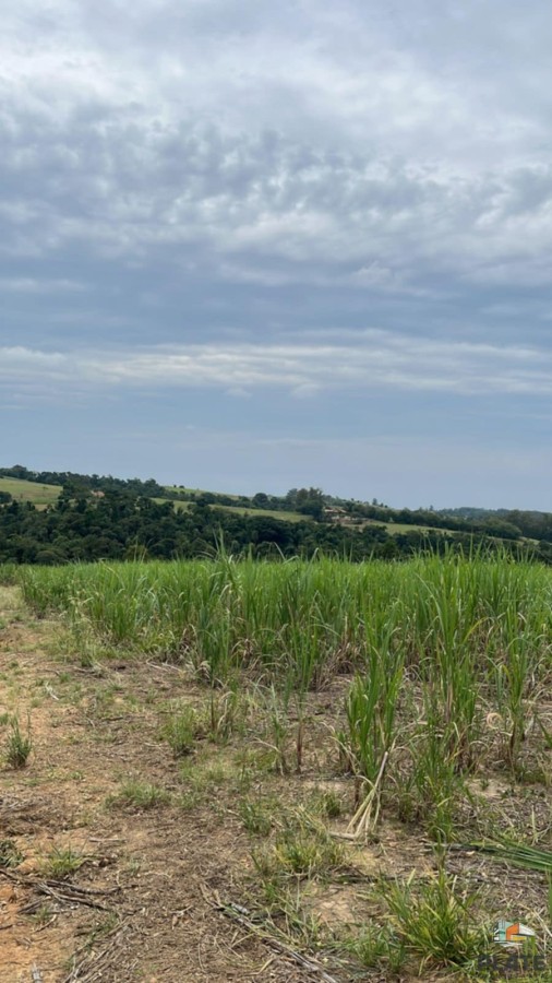Sítio à venda, 580800m² - Foto 4