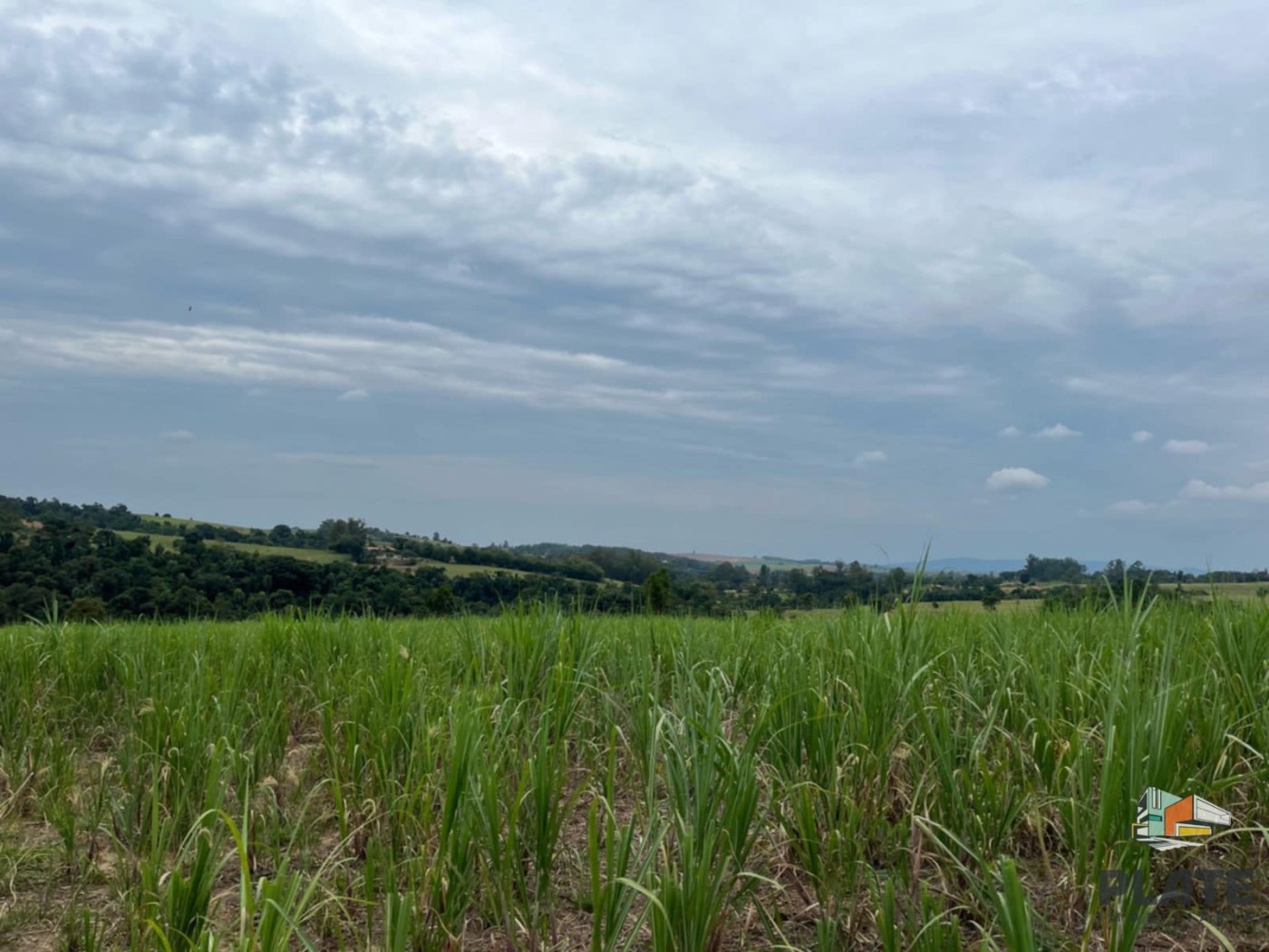 Sítio à venda, 580800m² - Foto 6