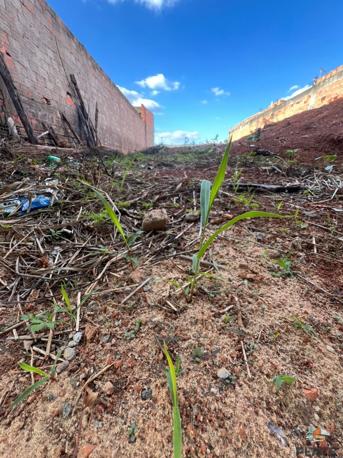 Terreno, 176 m² - Foto 5