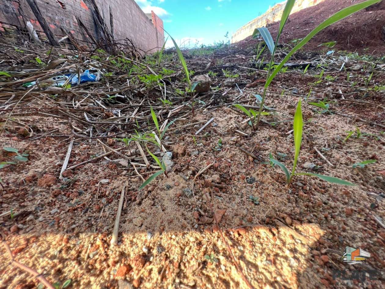 Terreno, 176 m² - Foto 6