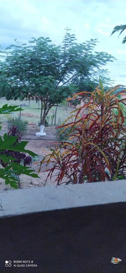 Chácara, 8000 m² - Foto 14