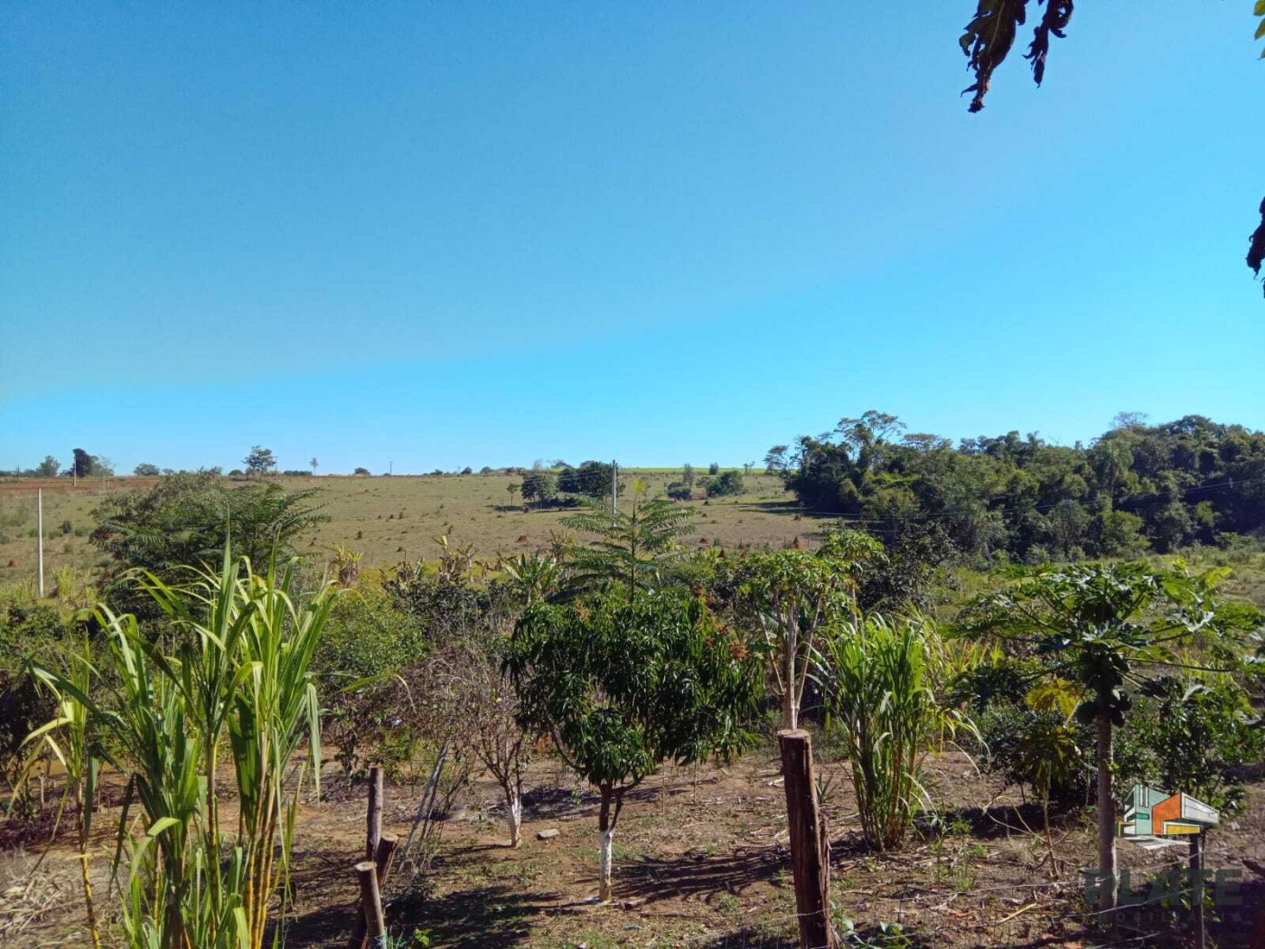 Chácara, 8000 m² - Foto 20