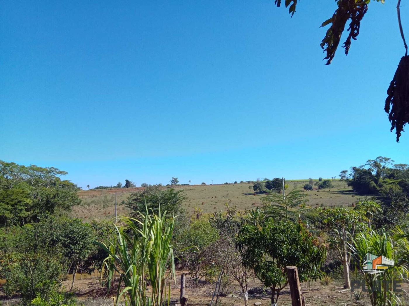 Chácara, 8000 m² - Foto 19