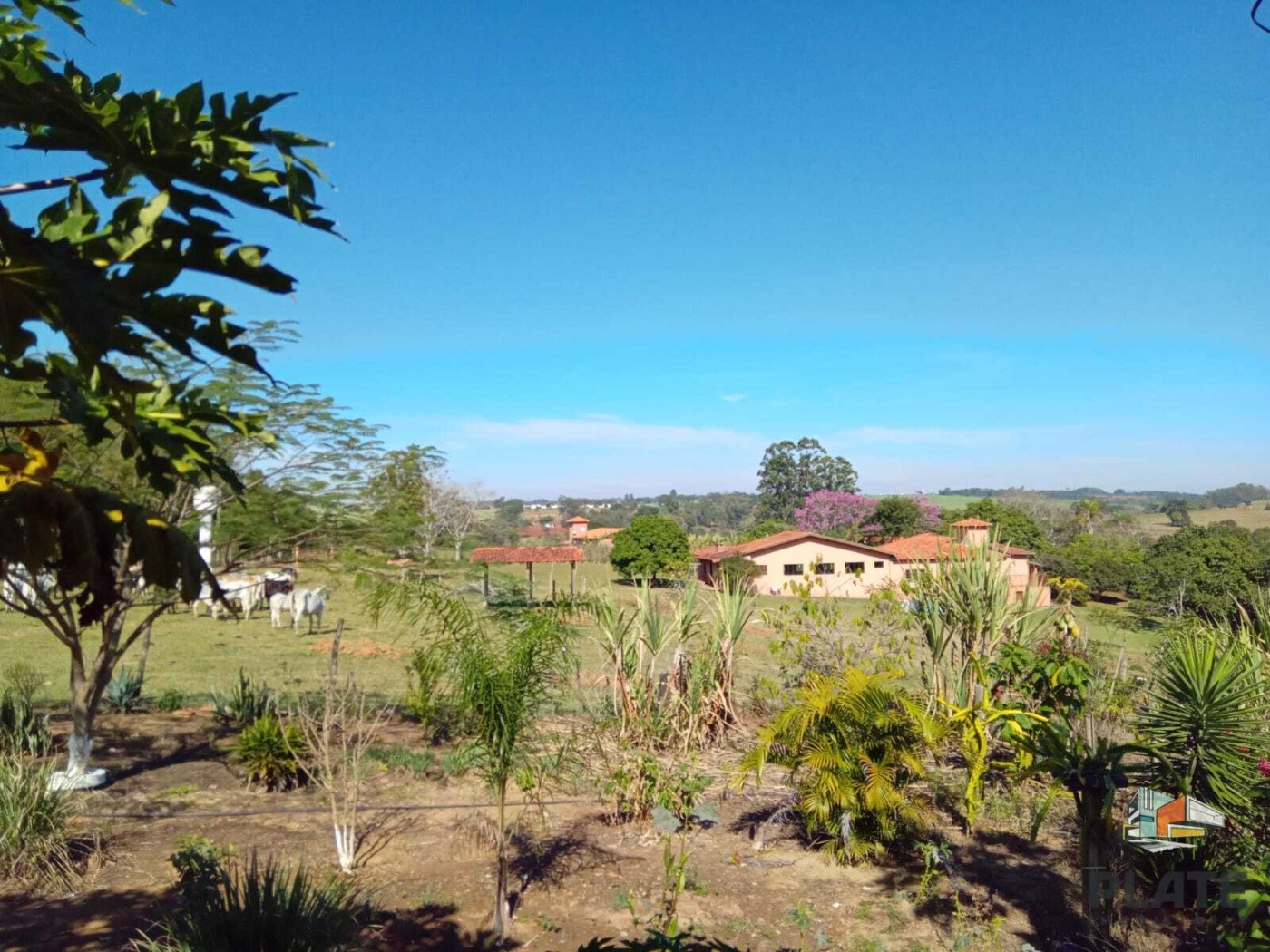 Chácara, 8000 m² - Foto 24