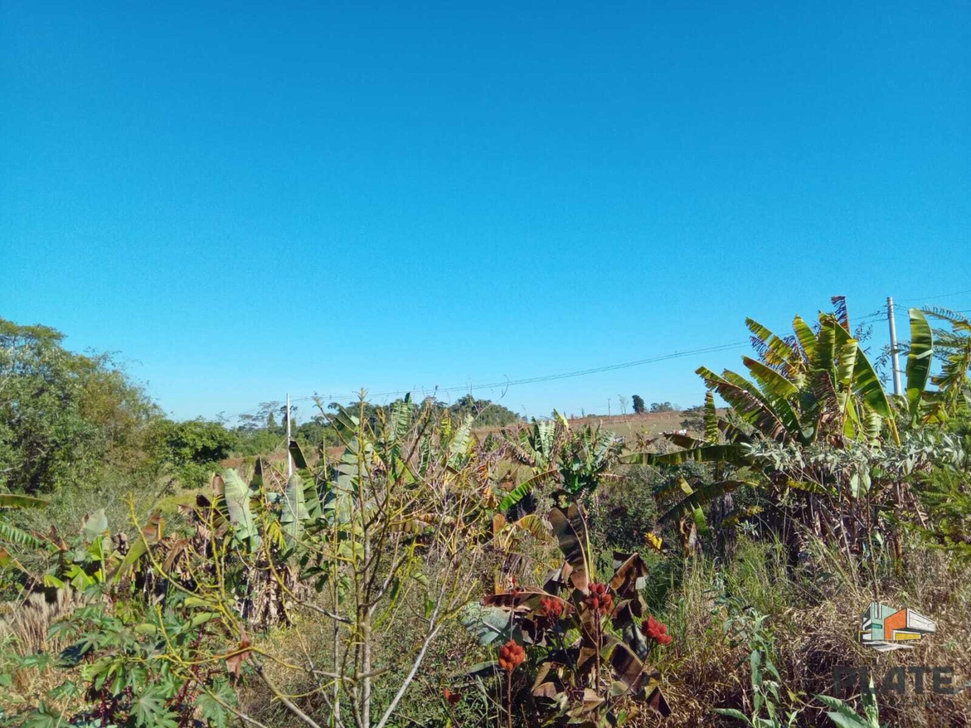 Chácara, 8000 m² - Foto 26