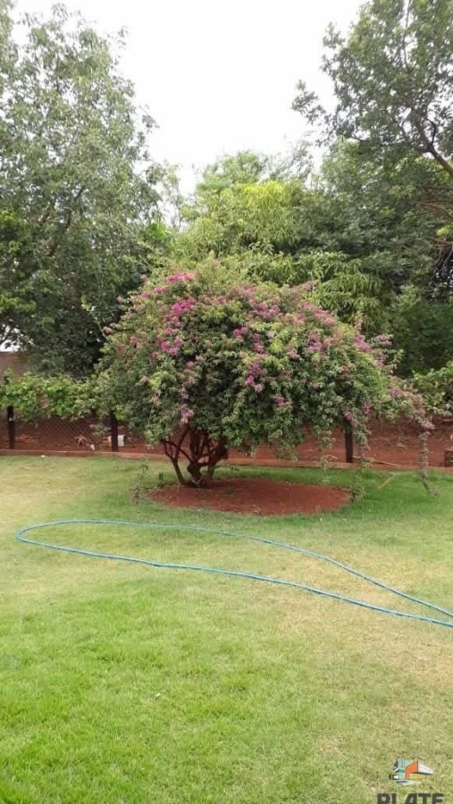 Chácara, 1000 m² - Foto 7