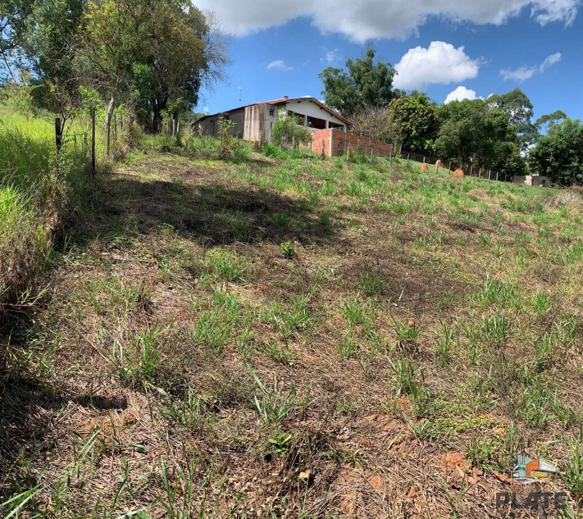 Terreno, 2329 m² - Foto 6