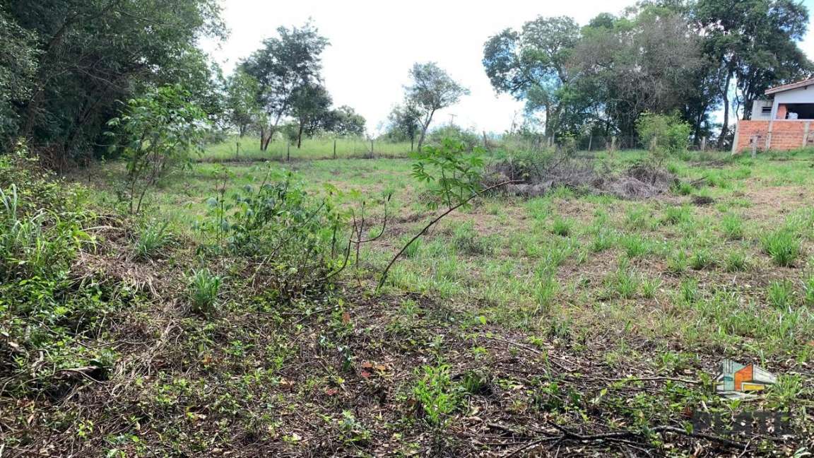 Terreno, 2329 m² - Foto 7