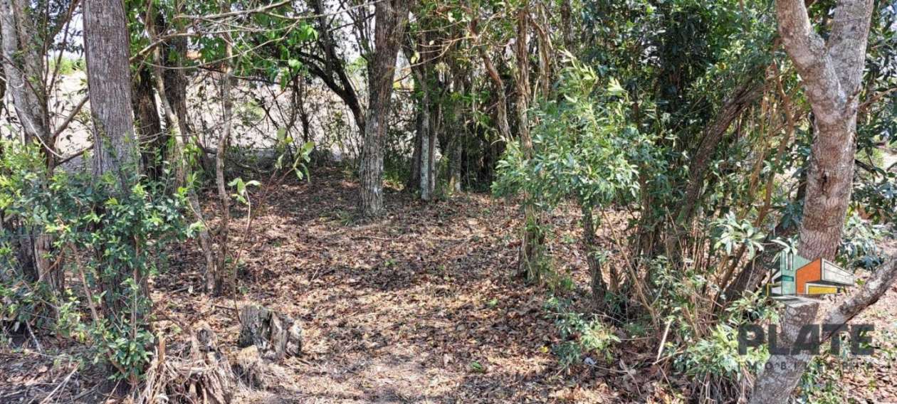 Chácara, 4500 m² - Foto 31