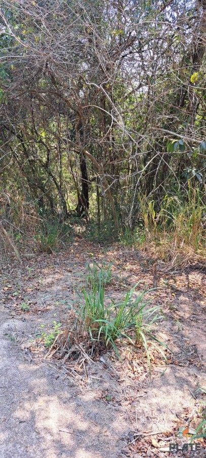 Chácara, 4500 m² - Foto 32