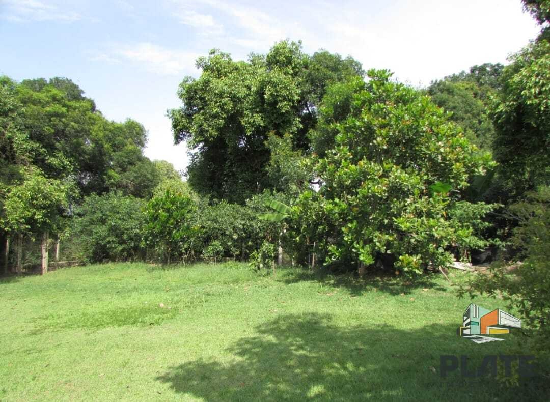 Chácara, 4000 m² - Foto 3