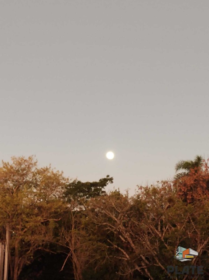 Chácara, 4000 m² - Foto 16