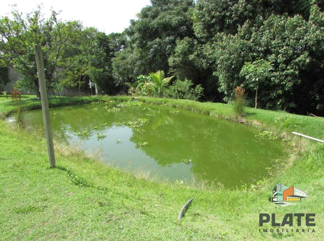 Chácara, 4000 m² - Foto 4