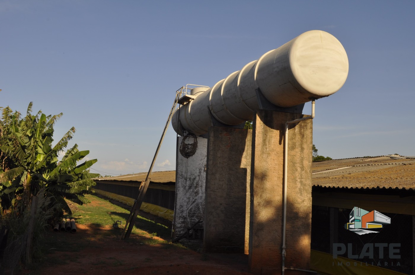 Sítio, 5 hectares - Foto 6