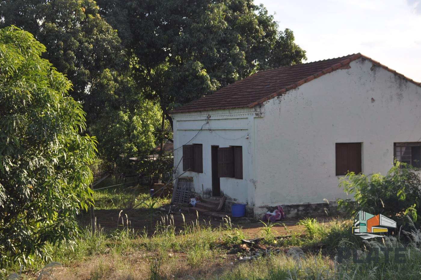 Sítio, 5 hectares - Foto 2